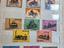 Immagine 4