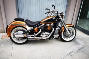 Custom Bike
