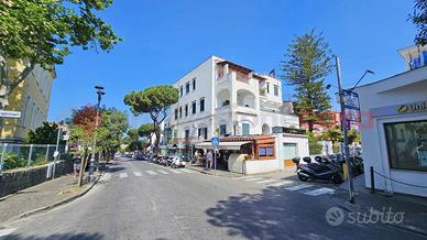 Appartamento Ischia [Cod. rif 3312092VRG]