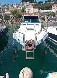 Sea ray 27 natante 130 cv
