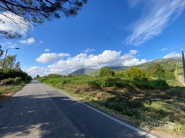 TER. AGRICOLO A CAPACCIO