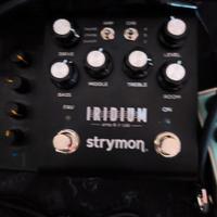 Strymon Iridium