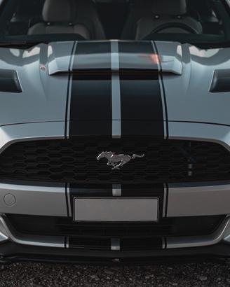 Cofano Ford Mustang 2.3 anno 2015-2017