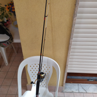 Canne da pesca light game