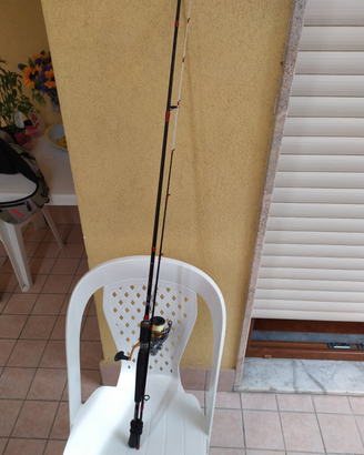 Canne da pesca light game