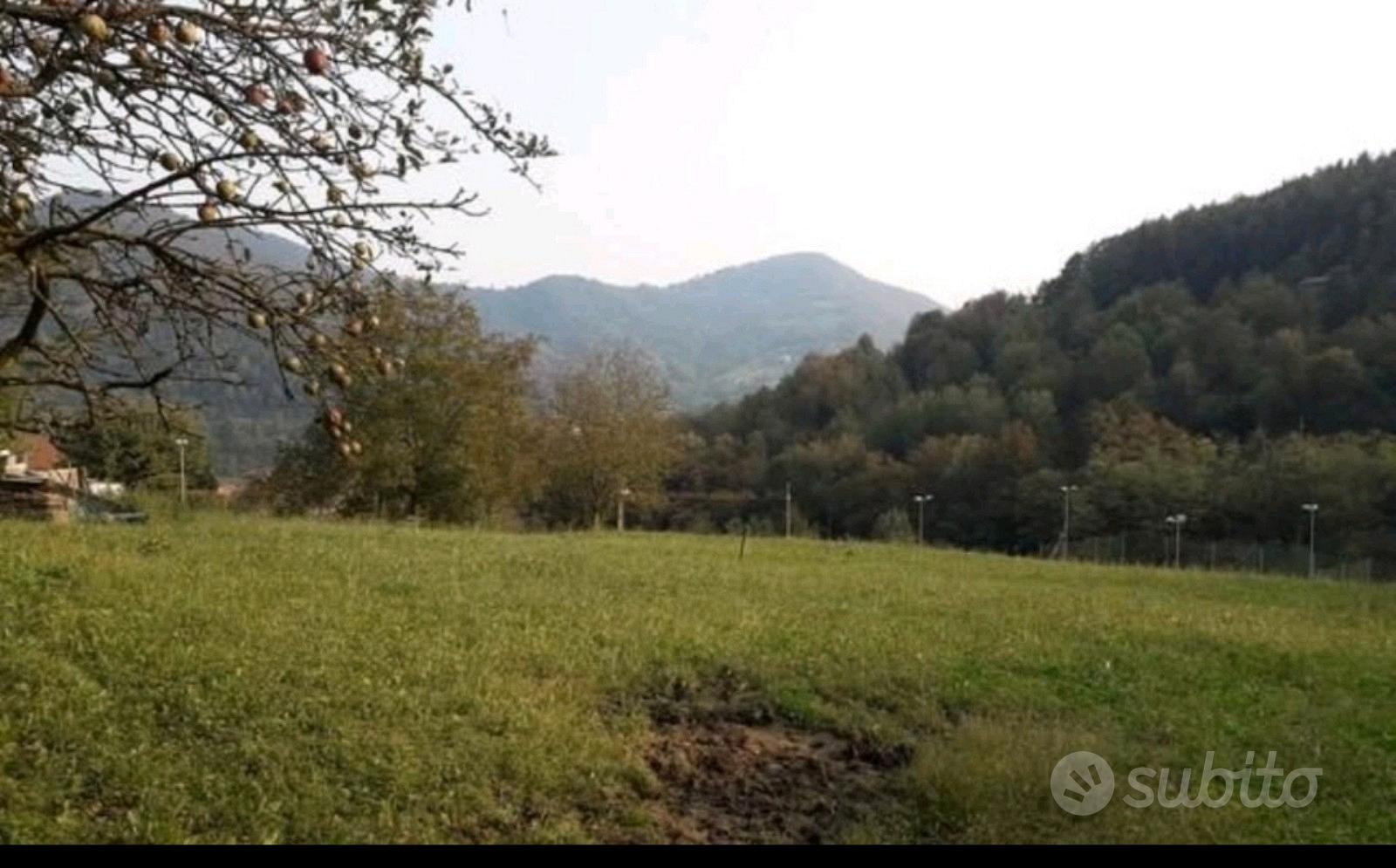 Terreno edificabile in comune di Luzzana - Vista 2