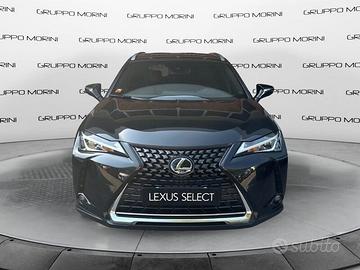 Lexus UX Hybrid Executive 2WD