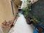 Immagine 11