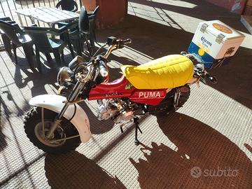 motociclo
