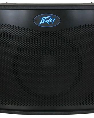 combo  600 watt professionale da studio quasi mai