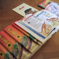 Dinosauri DeAgostini junior