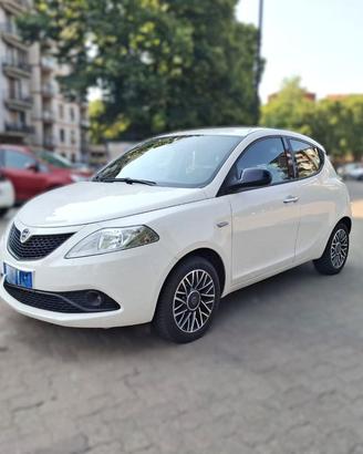 LANCIA Ypsilon 1.2 69 CV 5 porte GPL Ecochic Ele