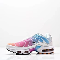 Nike Air Max TN Plus EU 39