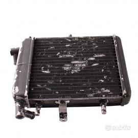 Radiatore moto