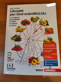 L'Amaldi per i licei scientifici.blu 