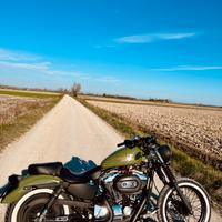 Harley Davidson sportster 1200 XL custom