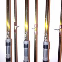 Tre canne carpfishing technic carp