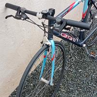 Bici Carraro