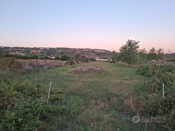 Terreno Agricolo