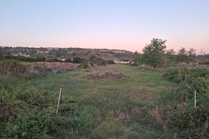 Terreno Agricolo