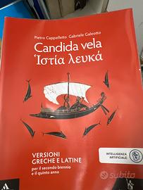 Candida vela
