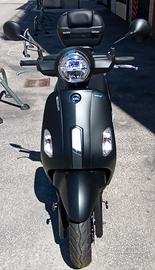 Sym Fiddle 50 - 2022