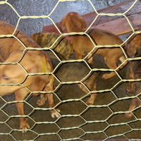 Cuccioli segugi maremmani