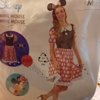 vestito di carnevale 