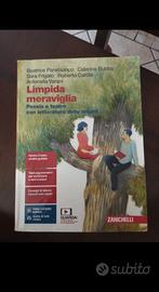 Limpida meraviglia-narrativa