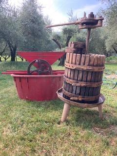 Torchio 40 con pigiatrice e mastello