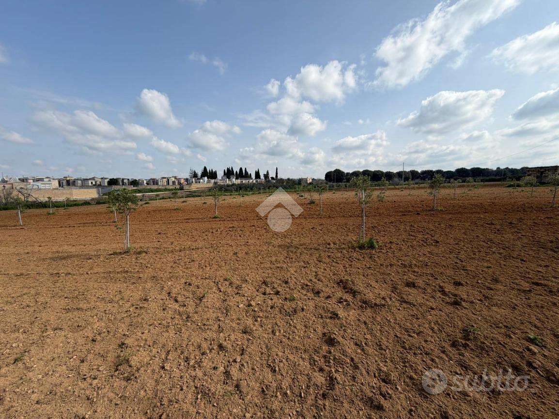 TER. AGRICOLO A ALEZIO - Vista 5