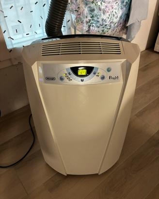 Climatizzatore Pinguino