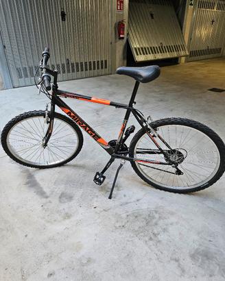Mountain Bike Uomo