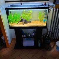 Acquario 80 litri con mobiletto base