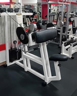ARM CURL TECHNOGYM LINEA LUX