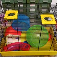 Gabbia gabbieta per criceti