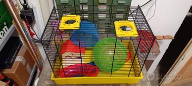 Gabbia gabbieta per criceti