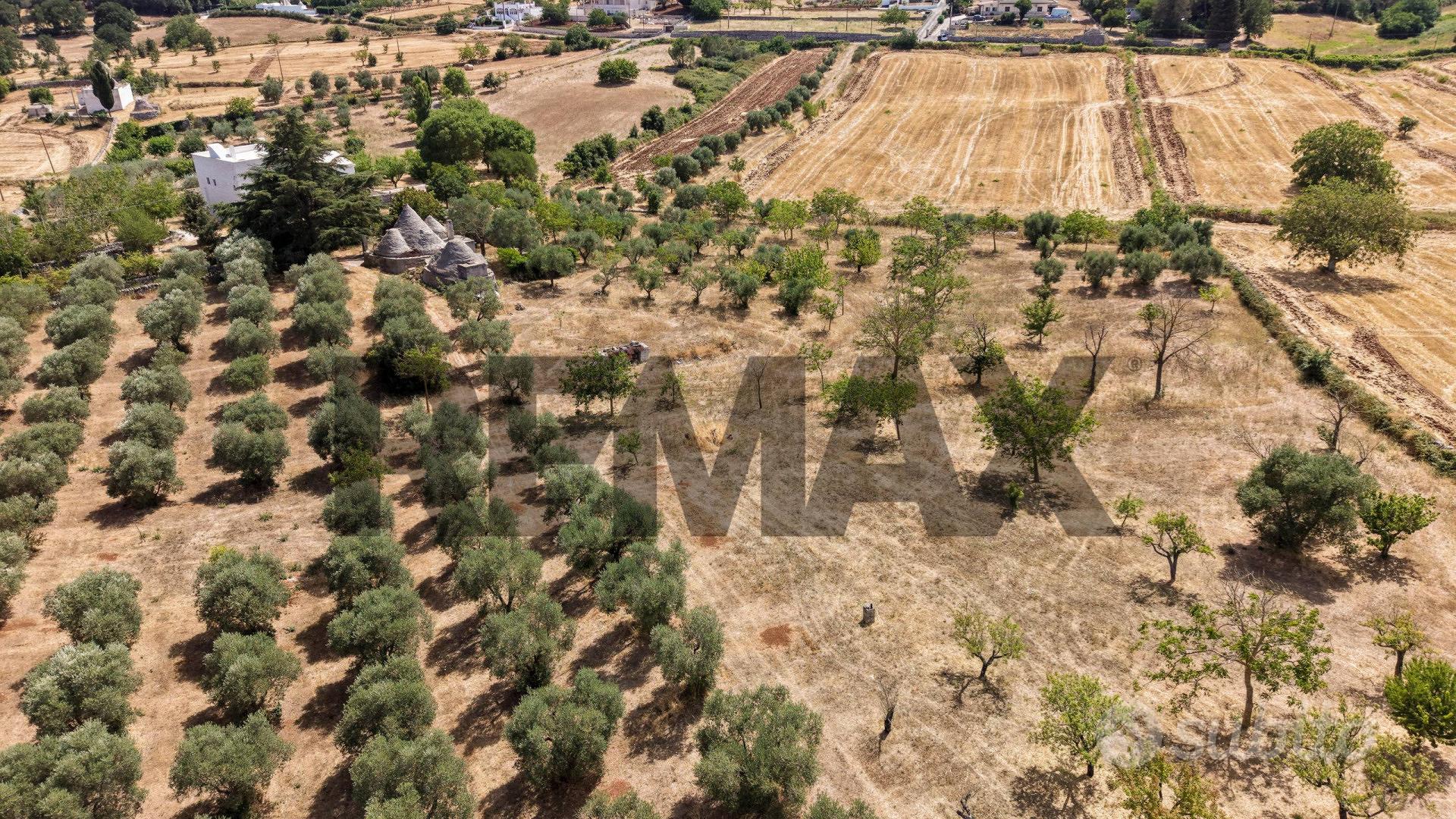 Terreno Edificabile - Martina Franca - Vista 5