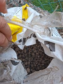  Stallatico 