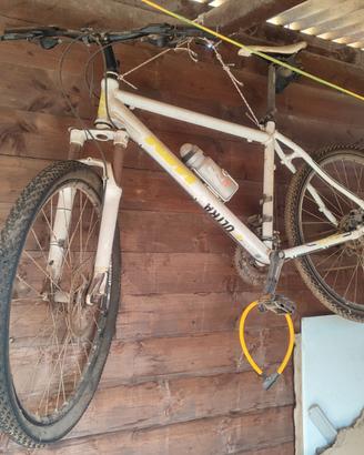 Bicicletta ktm