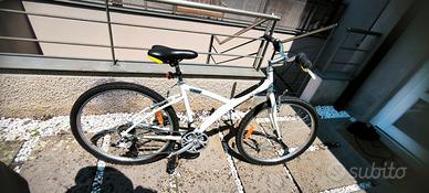 Bici donna, bambino. 
