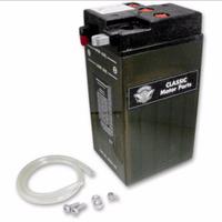 Batteria Originale Harley Davidson 6V - Nuova