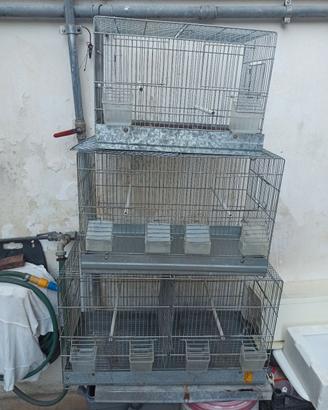 Disponibili gabbie in blocco o singole
