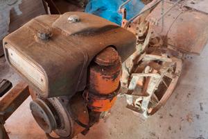 Fresa agricola pasquali 14 cv diesel