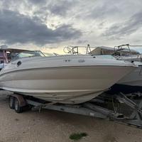 SeaRay 24"