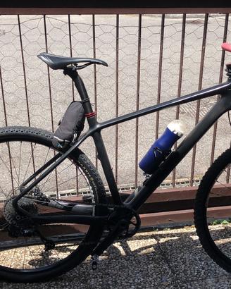 Bici mountain bike specialized carbonio