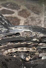 Bici 24 pollici  BTWIN