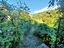 Immagine 14