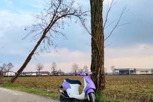 piaggio zip 2t
