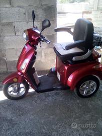 Carrozzina per adulti